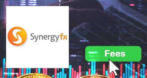 Synergy FX fees