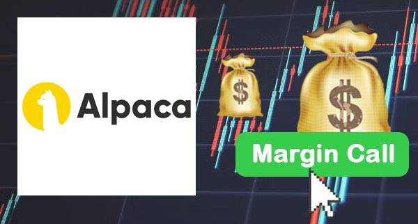 Alpaca Margin Rates