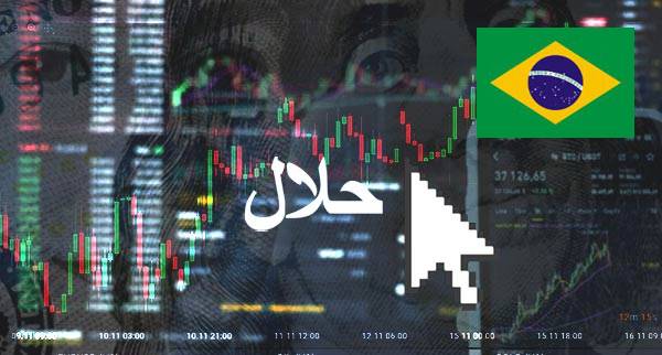 Best Halal Forex Brokers Brazil
