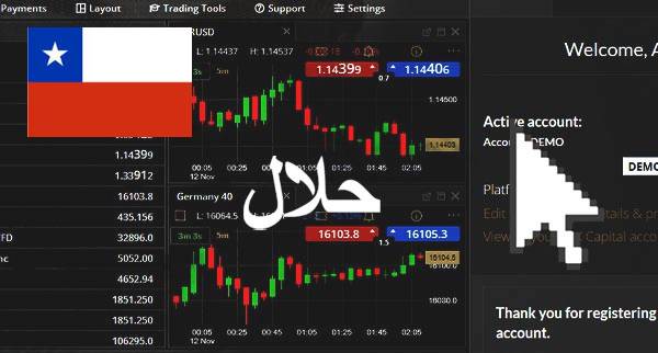 Best Halal Forex Brokers Chile