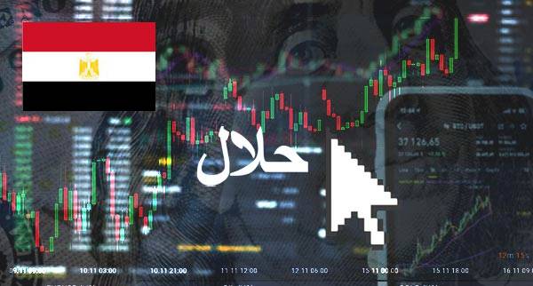 Best Halal Forex Brokers Egypt