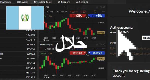 Best Halal Forex Brokers Guatemala