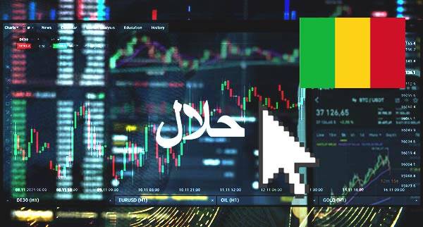 Best Halal Forex Brokers Mali