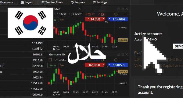 Best Halal Forex Brokers South Korea