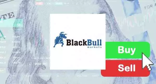 How To Trade On BlackBull Markets