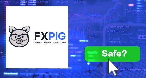 FXPIG Safe