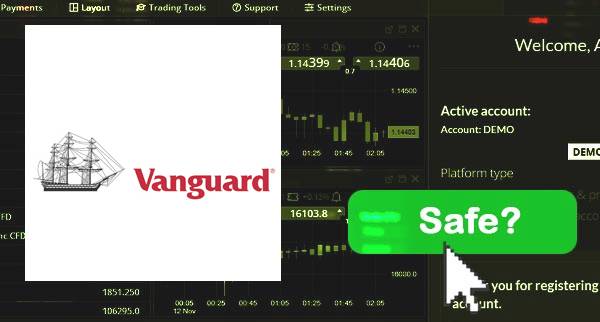 Vanguard Investments Safe