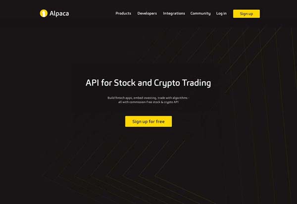 Alpaca Trading Review