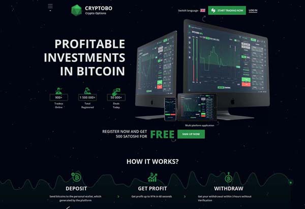 Cryptobo Review