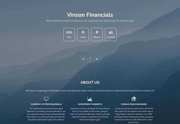 Vinson Financials Review