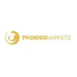 Phoenix Markets Review