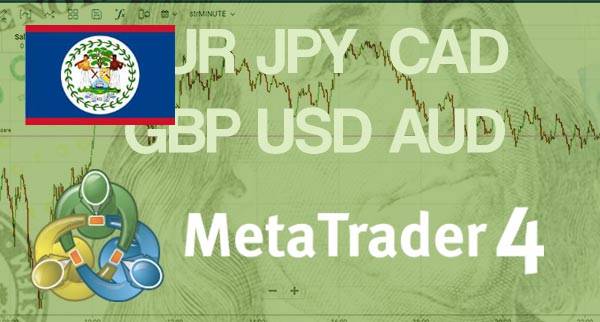 Best MT4 Forex Brokers Belize