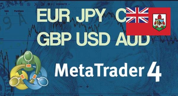 Best MT4 Forex Brokers Bermuda
