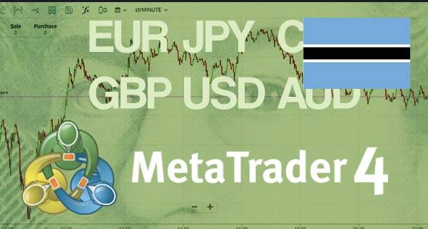 Best MT4 Forex Brokers Botswana