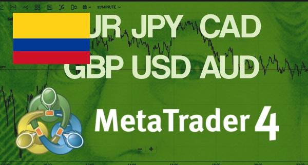 Best MT4 Forex Brokers Colombia