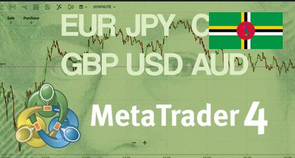 Best MT4 Forex Brokers Dominica