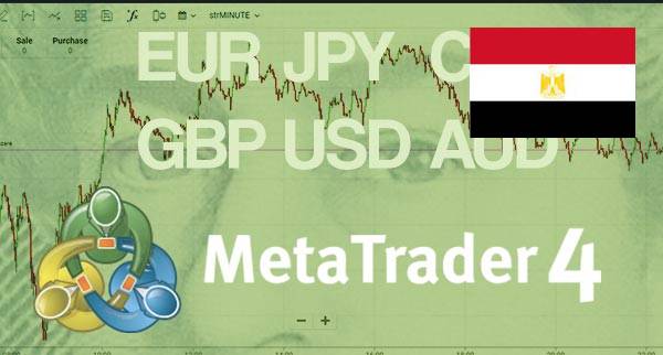 Best MT4 Forex Brokers Egypt