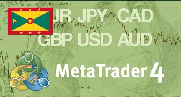 Best MT4 Forex Brokers Grenada