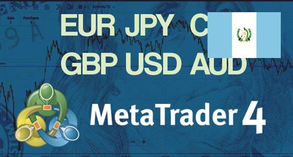 Best MT4 Forex Brokers Guatemala