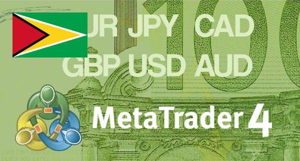 Best MT4 Forex Brokers Guyana