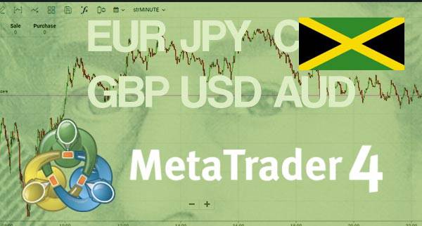 Best MT4 Forex Brokers Jamaica