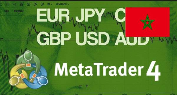 Best MT4 Forex Brokers Morocco
