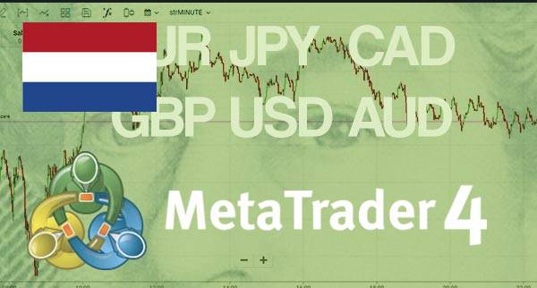 Best MT4 Forex Brokers Netherlands