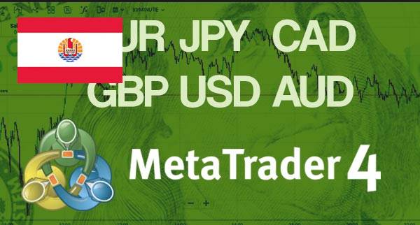 Best MT4 Forex Brokers Poland