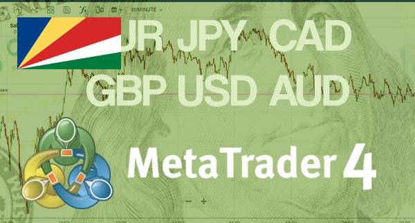 Best MT4 Forex Brokers Seychelles