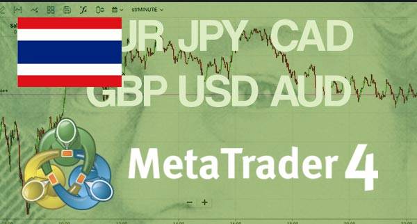 Best MT4 Forex Brokers Thailand