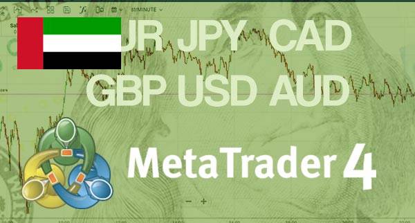 Best MT4 Forex Brokers United Arab Emirates