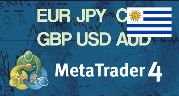 Best MT4 Forex Brokers Uruguay