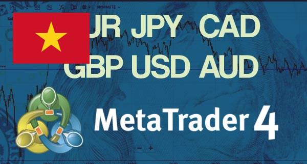 Best MT4 Forex Brokers Vietnam