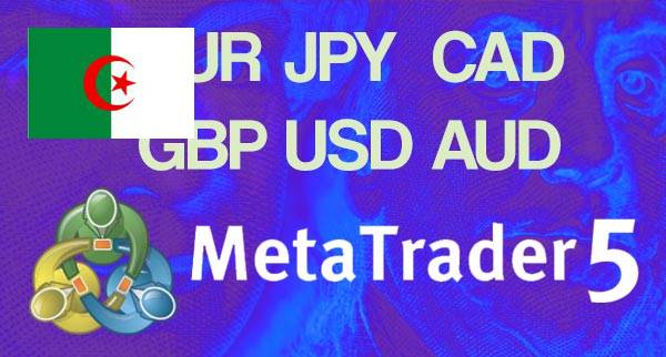 Best MT5 Forex Brokers Algeria