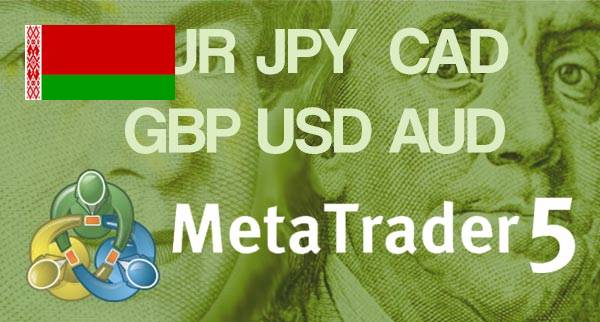 Best MT5 Forex Brokers Belarus