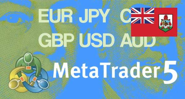 Best MT5 Forex Brokers Bermuda