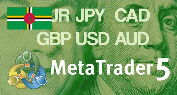 Best MT5 Forex Brokers Dominica