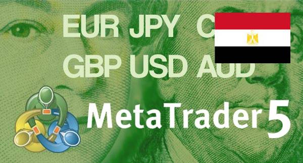 Best MT5 Forex Brokers Egypt