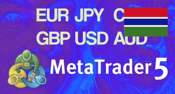 Best MT5 Forex Brokers Gambia