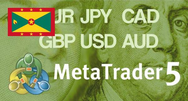 Best MT5 Forex Brokers Grenada