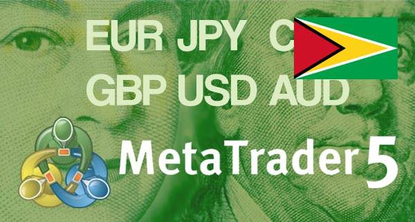 Best MT5 Forex Brokers Guyana