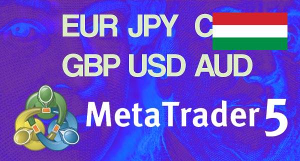 Best MT5 Forex Brokers Hungary