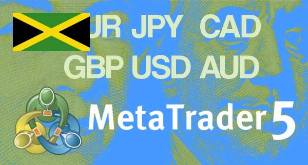 Best MT5 Forex Brokers Jamaica