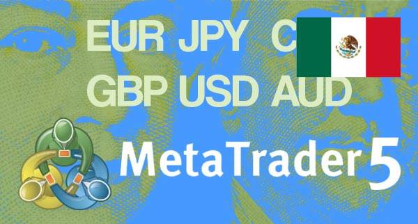 Best MT5 Forex Brokers Mexico