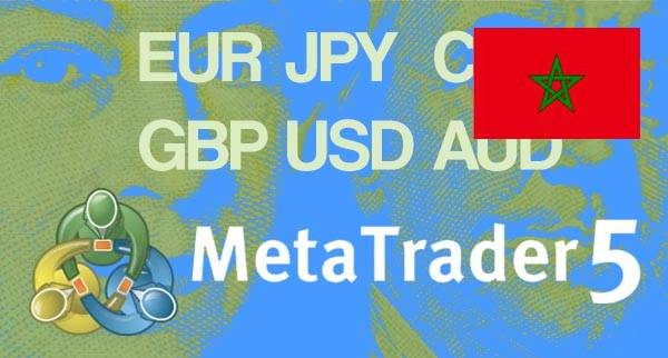 Best MT5 Forex Brokers Morocco