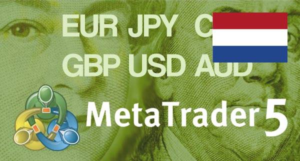 Best MT5 Forex Brokers Netherlands