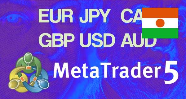 Best MT5 Forex Brokers Niger