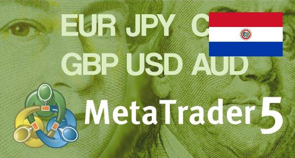 Best MT5 Forex Brokers Paraguay