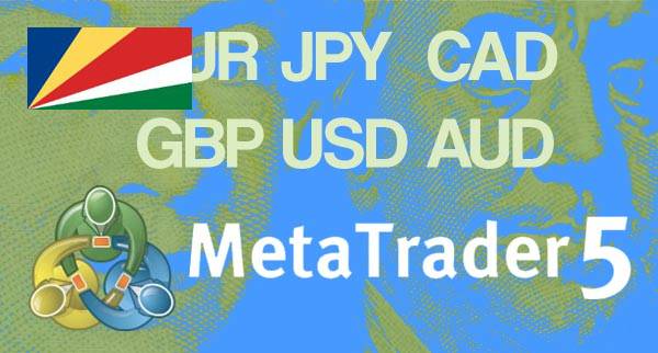 Best MT5 Forex Brokers Seychelles