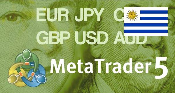 Best MT5 Forex Brokers Uruguay